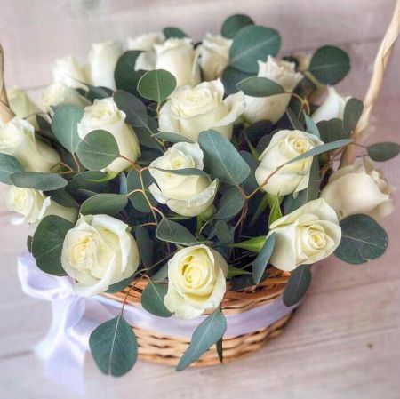 Радость дня